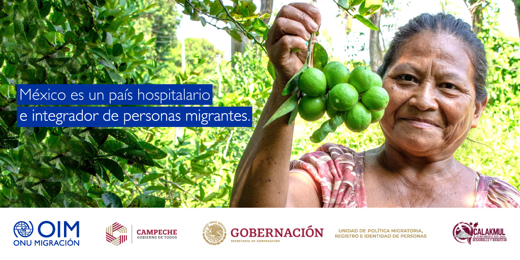 OIM_Mexico's tweet photo. Organizaciones como la #OIM, la #UPMRIP y el Gobierno de Campeche nos unimos para promover sociedades más inclusivas, libres de #discriminación y la #xenofobia 

#JuntosPorLosMigrantes #DDHH #Migración https://t.co/hvKvbCAsHc