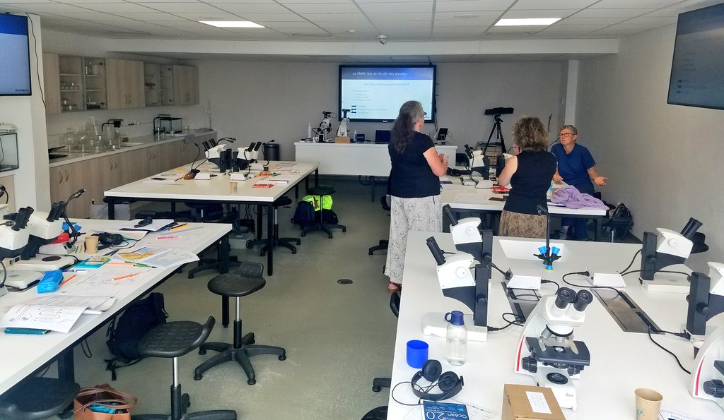 vivelesSVT's tweet photo. Les profs sont en atelier scientifique pour travailler sur des données #MerEduc22 Des documents de grande qualité via @Oceanopolis_ #SVT https://t.co/tPavCryAQU
