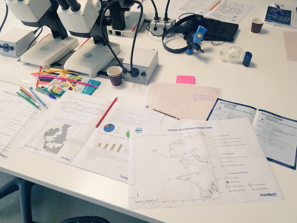 vivelesSVT's tweet photo. Les profs sont en atelier scientifique pour travailler sur des données #MerEduc22 Des documents de grande qualité via @Oceanopolis_ #SVT https://t.co/tPavCryAQU