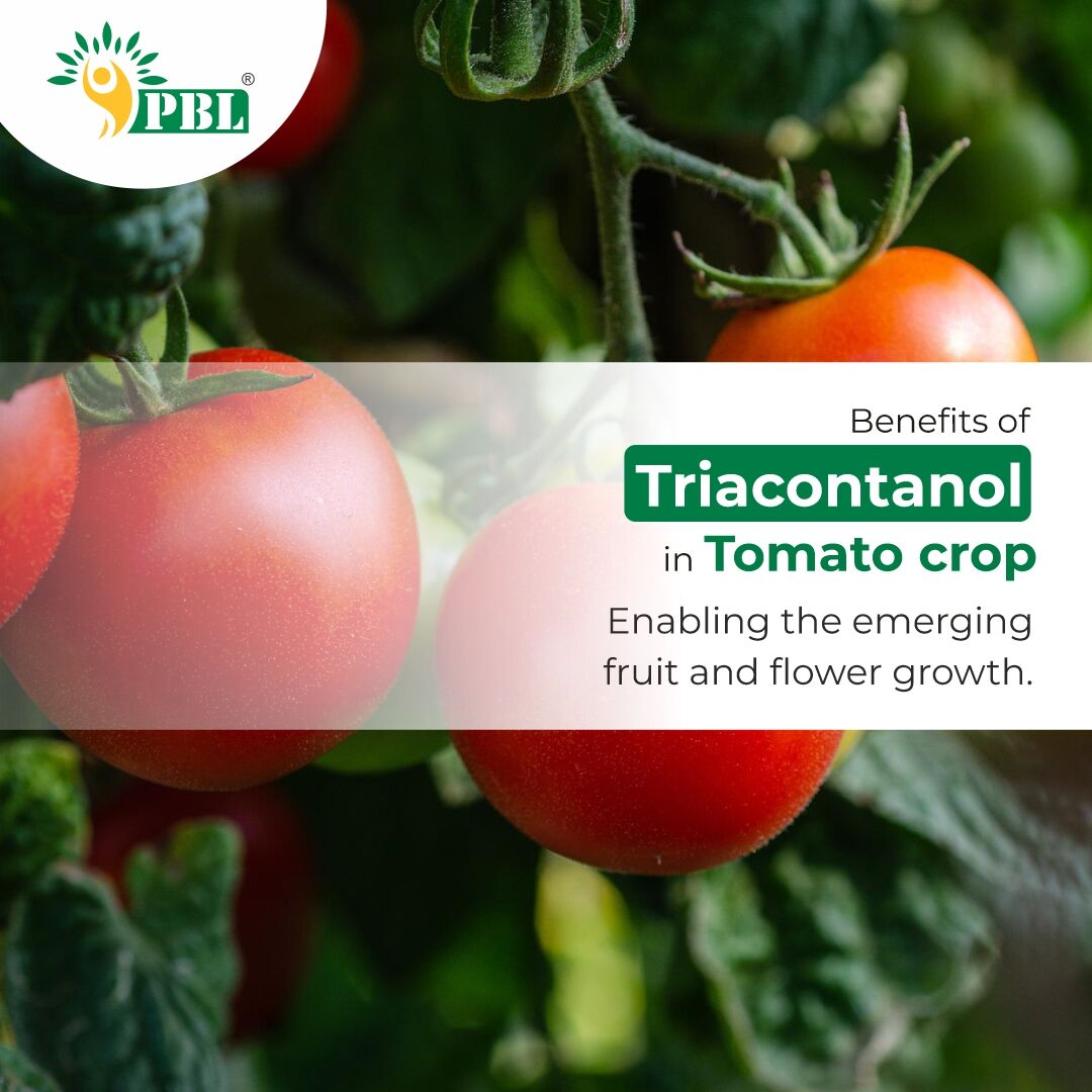 #Triacontanol is a naturally occurring growth stimulant for #plants. It promotes chlorophyll & increases #photosynthesis, mineral absorption rates. It also promotes seed germination & plant rooting. Supports in increasing the entire energy storage.
#plantgrowthregulators #peptech