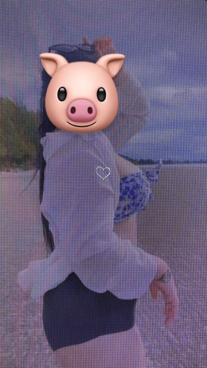bb526068671's tweet photo. มีใครใจดีพาหมูอ้วนไปเที่ยวทะเลมั้ยคะ 
#สารคาม https://t.co/XUmRudP1KZ