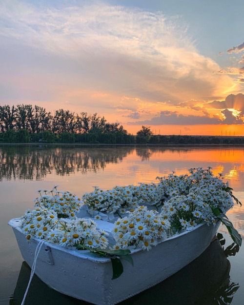 seokuva's tweet photo. i need this right now 🛶💐 https://t.co/8hla9B2RWs