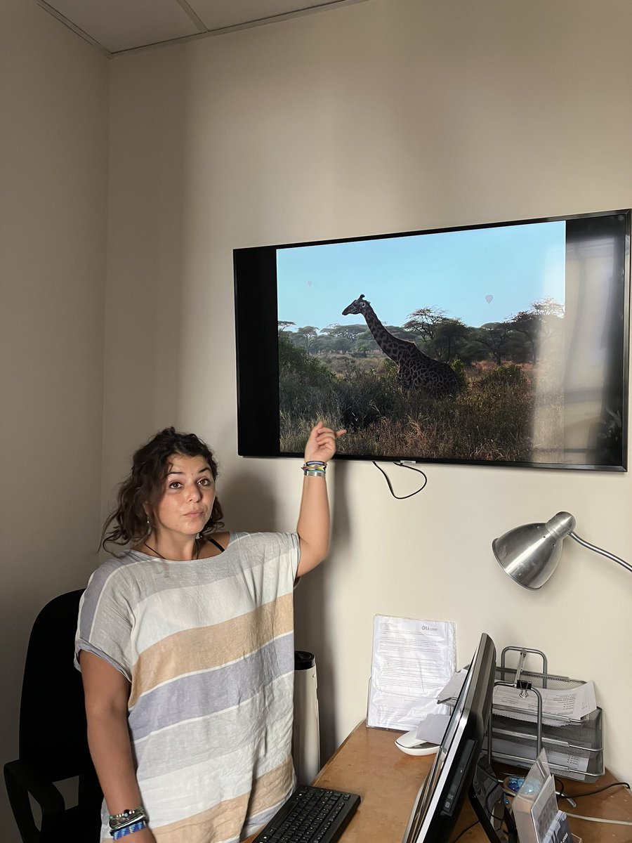 This week our reception monitor media takeover goes to Erica who is sharing shots from her recent safari in east Africa. @avventurenelmondo #studytravel