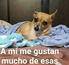 monitv90's tweet photo. @ilich_flores https://t.co/UQq3Dni0Cv