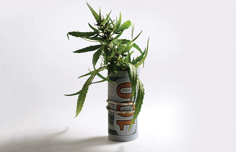 cannainvestors's tweet photo. We've covered this elsewhere but it's always nice to repeat good news and see markets developing #cannabis #cannabiscommunity #weed #marijuana #thc #cbd #cannabisculture #weedporn https://t.co/VbB3jrFuAo