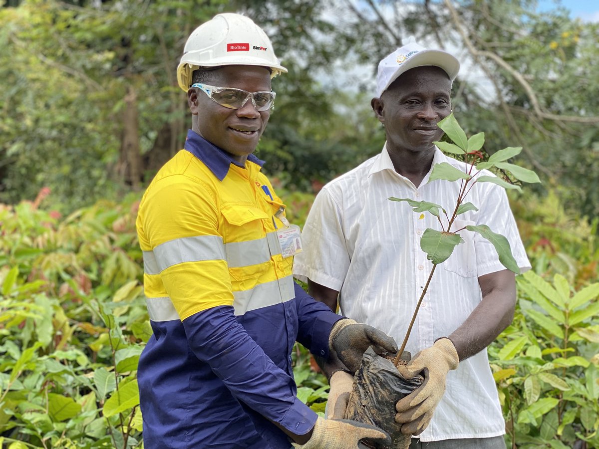 RioTintoSimFer's tweet photo. Pour soutenir la Direction préfectorale de l’Environnement et du Développement Durable de Beyla, nous leur avons offert 2.200 plants forestiers pour la campagne de reboisement 2022. 
#Simandou #Simfer #RioTinto #Guinee #Environnement https://t.co/yAtmLvvjrg