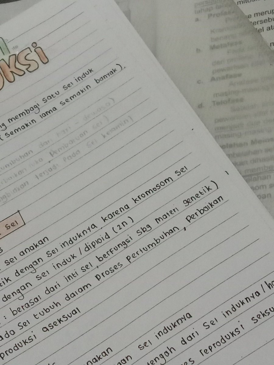 terseeun's tweet photo. 230822🗒️ #studyspo
belajar buat ulangan bahasa indonesia sama remed ipa 😀 WML semoga tidak remed lagi https://t.co/KfR7IXuIUe
