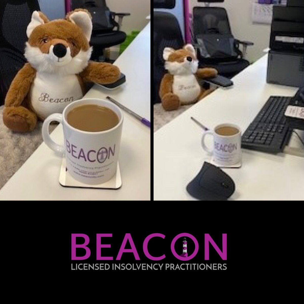 Meet our new Team member! BrownFox is already working hard. Look out for future posts; where is the  BrownFox?