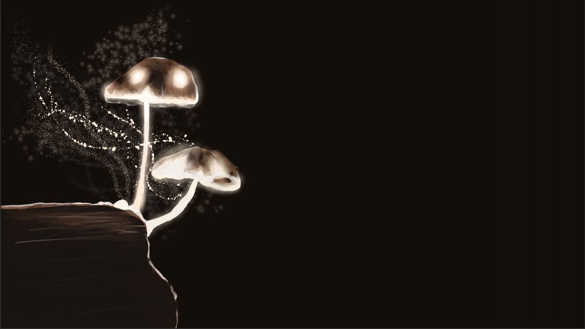 _Raichik_'s tweet photo. #Mushroom #mushrooms #mushroomspores #art https://t.co/JzYYZgolMr