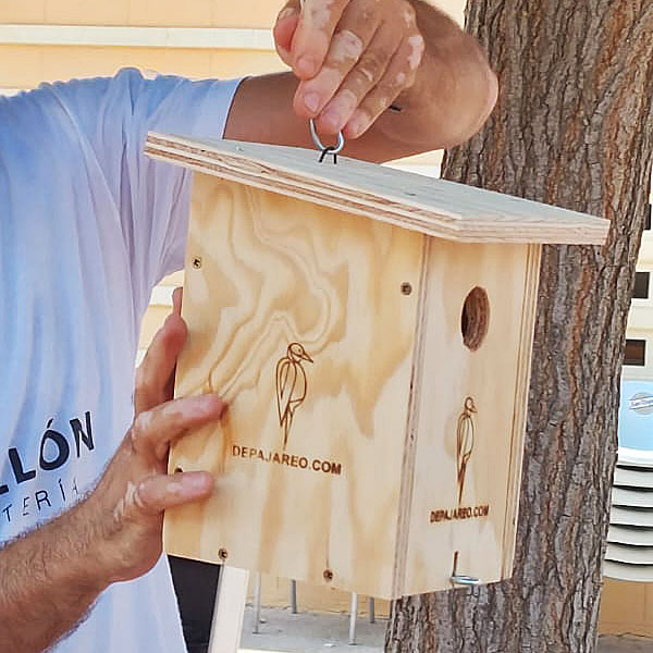 BirdingAragon's tweet photo. 😍 Fantásticas las casitas que prepararon nuestros jóvenes ornitólogos en #Castillonroy 
🦉 Una actividad con @CEDERORIENTAL1 para acercar las aves a los más jóvenes y para preparar el cobijo para algunos de los ejemplares que visiten sus bosques 
💚 https://t.co/oxZvRt64wE https://t.co/iYS5UtCju8