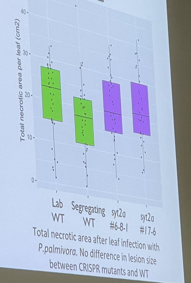 How data should be displayed. And multiple control treatments too. Don’t lie with statistics. #deathtohistograms #inconclusiveresults 

Well done <a href="/AlexWGuyon/">Alex Guyon</a> <a href="/dromius/">Sebastian Schornack</a> #OMGN22