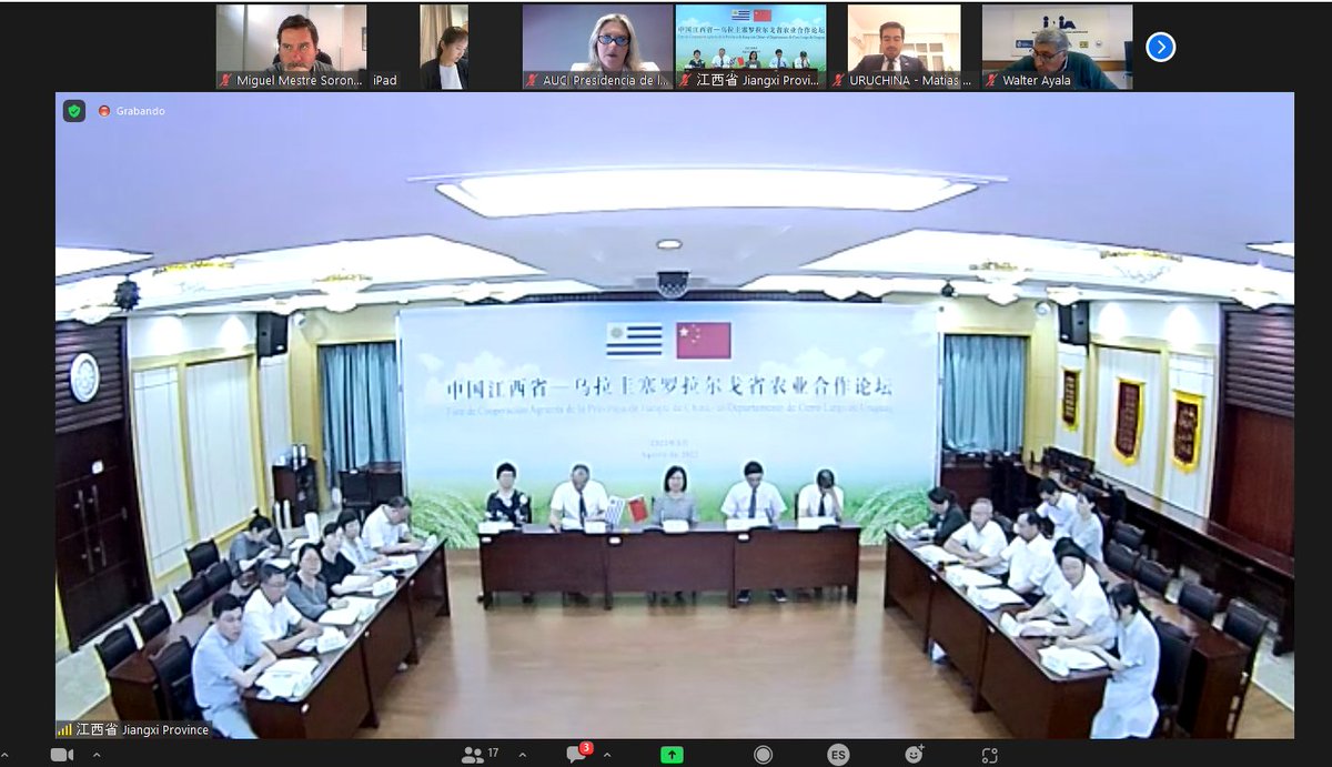DRRIICL's tweet photo. FORO AGRÍCOLA en línea, en el marco del relacionamiento #CerroLargo 🇺🇾 #Jiangxi 🇨🇳. Valioso intercambio entre @INIA_UY @ACAoficial #JXAAS #JXAU y Depto de Agricultura de la Provincia de JIANGXI, propiciado por @gobiernodecl @AuciUruguay @MRREE_Uruguay @FerLUGRIS @embajadorcn_uy https://t.co/C1ZhjpaaHH