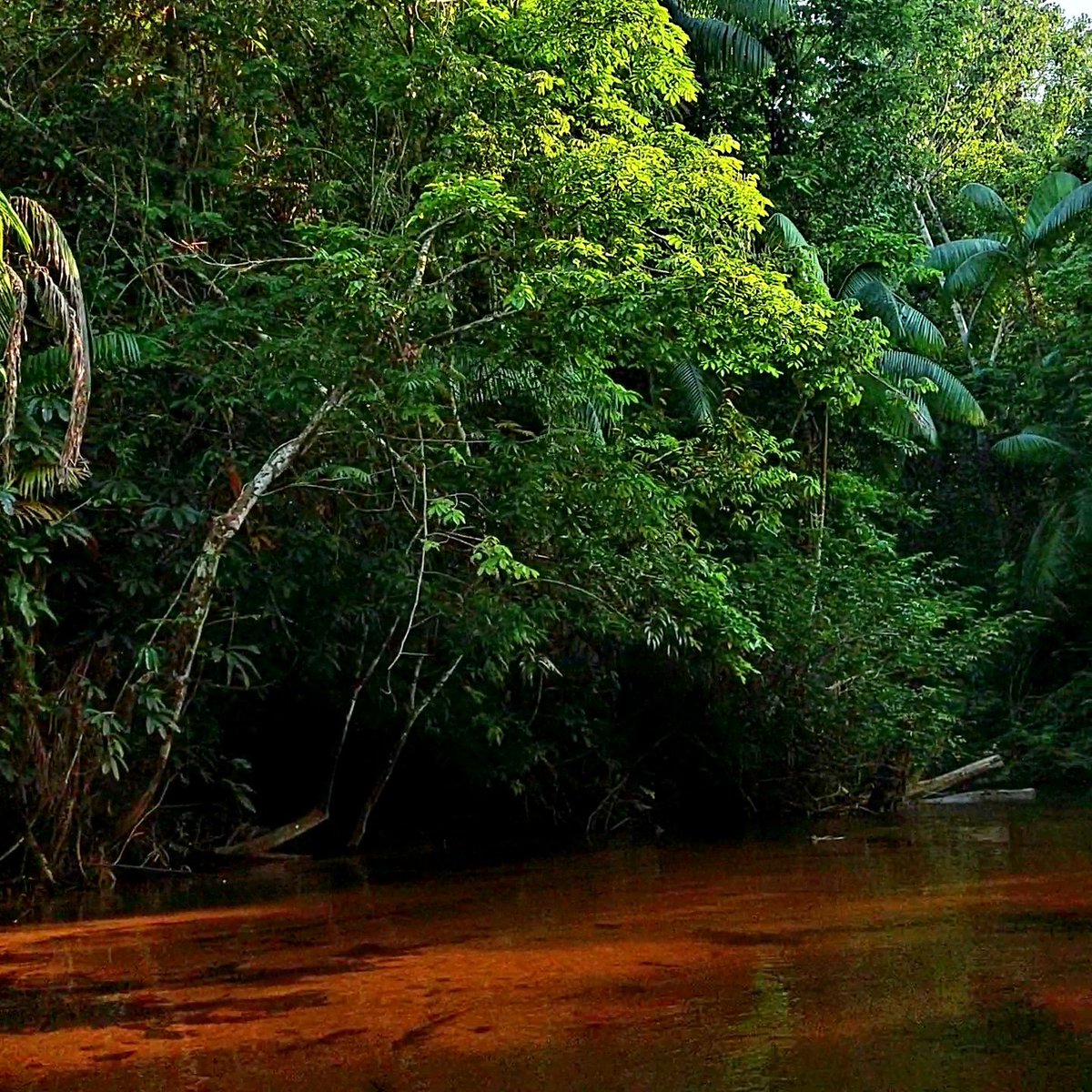 Beka Saw tweet media