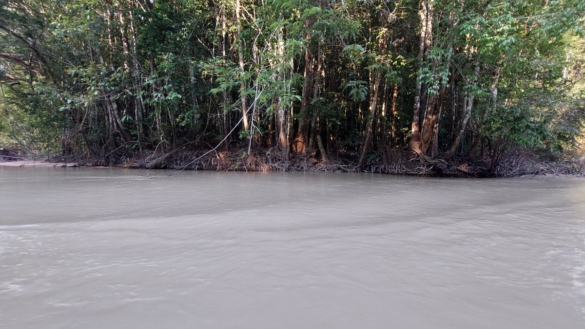 A foto do mesmo Rio em antes e depois  do garimpo. A primeira ft tirei quando fui no começo de 2020, agora voltei e deparei com isso:
