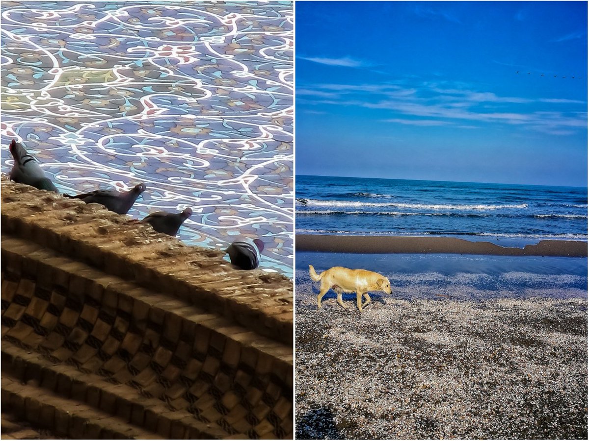 Raven_slb's tweet photo. 🟥🟩🟦My Drops for @TezTunas include VideoArt &amp; Photography Please check this Out 

🔴https://t.co/Wa25Orqvsn

🟦🟩🟥 #NFT #NFTCommunity #tunatime #TezTuna #tezos #CleanNFT #River #summer #tezosartweek #NFTdrops #photez #photography #wagt #nftphotography #nftcollectors #NFT宣伝枠 https://t.co/Gd2kZsyyVP