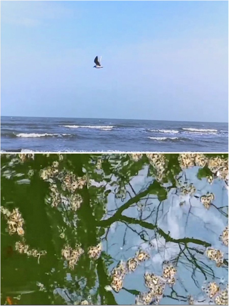 🟥🟩🟦My Drops for <a href="/TezTunas/">TezTunas</a> include VideoArt &amp; Photography Please check this Out 

🔴objkt.com/profile/tz1eNi…

🟦🟩🟥 #NFT #NFTCommunity #tunatime #TezTuna #tezos #CleanNFT #River #summer #tezosartweek #NFTdrops #photez #photography #wagt #nftphotography #nftcollectors #NFT宣伝枠