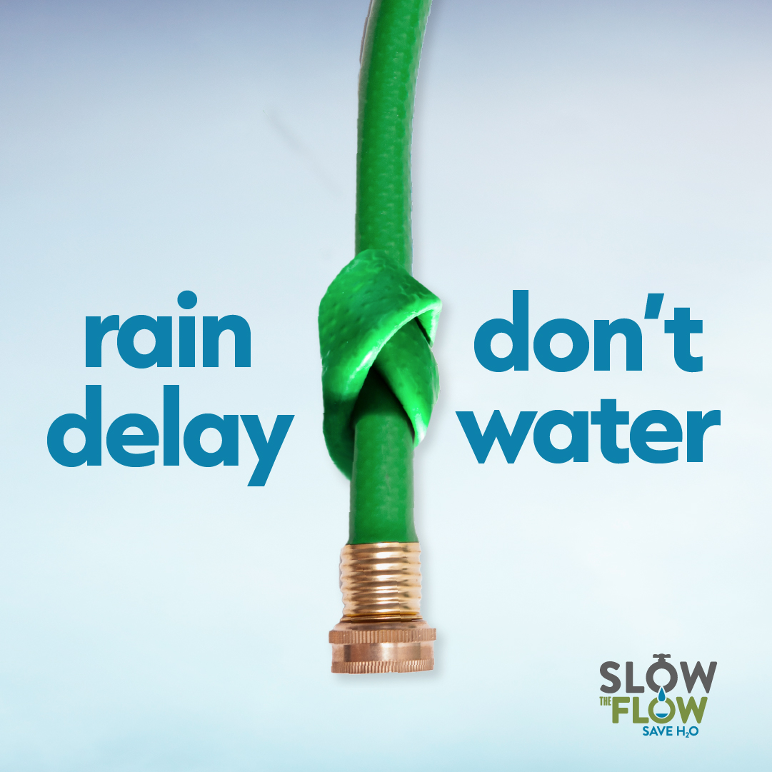 wcwcd's tweet photo. Did you have rain at your home? Recent rains throughout the region won't end the drought but it does help reduce the demands on our regional water supply *if* you turn off your irrigation system for a few days. 💦
#slowtheflow #saveh2o #waterwiseutah https://t.co/QoGzRU1tFf