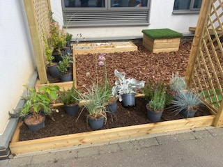 Wheatfield School tweet media