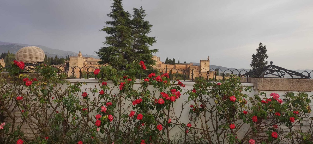ClaritasGranada's tweet photo. ¿De dónde son estas vistas? 😍 Desde el patio de la mezquita del Albaicín ☪️ un lugar mágico con unas vistas privilegiadas. Granada es alucinante, conócela

@PlanesGranada @turgranada
@granadaturismo

#claritasturismo #claritasgranada #granada https://t.co/6a6cnsDFiC