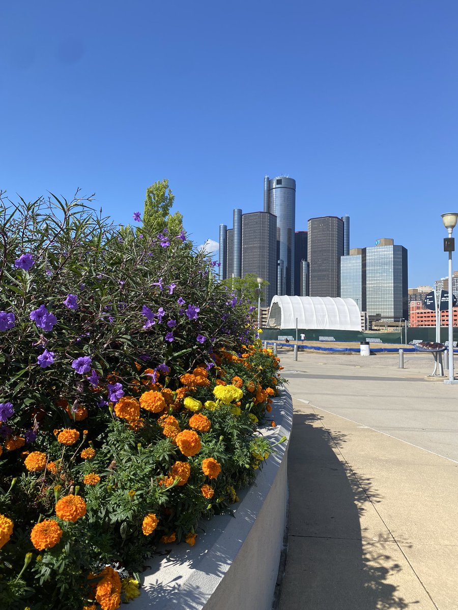 Amanda Frederick tweet media