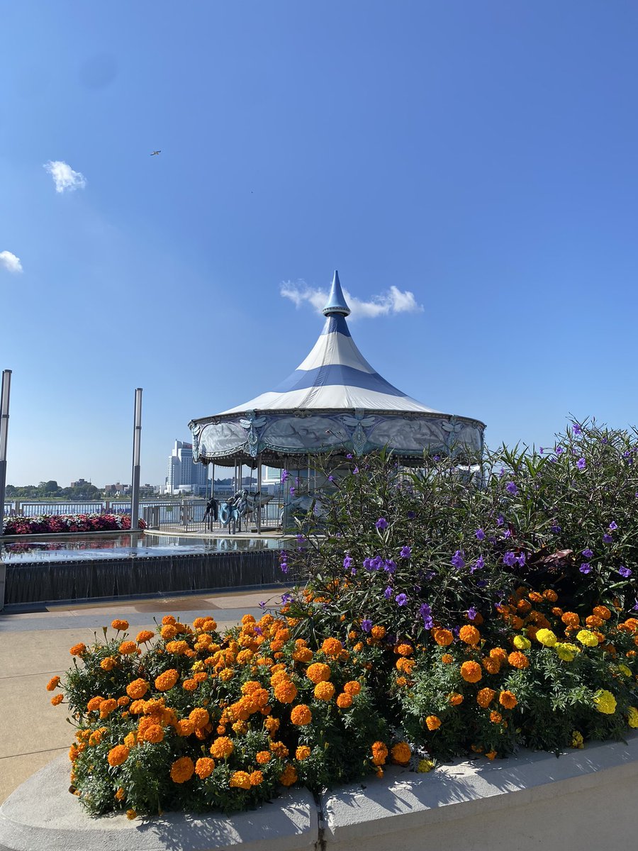 Amanda Frederick tweet media