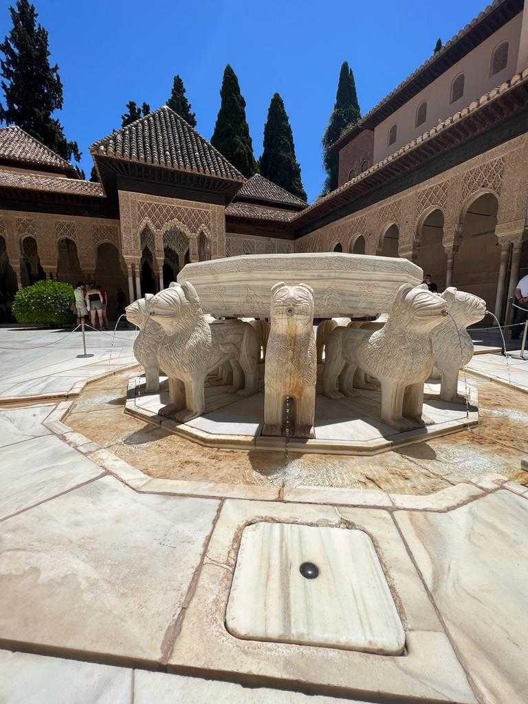 ClaritasGranada's tweet photo. El lugar más bello del mundo está aquí 🥰 Un lugar donde se respira calma, paz e historia mientras escuchas el ruido del agua. ¿Se te ocurre algo mejor? A nosotros no 😜 Descubre la Alhambra con nosotros.

@alhambracultura @PlanesGranada
#claritasturismo #claritasgranada #granada https://t.co/6eVtRBmXCQ