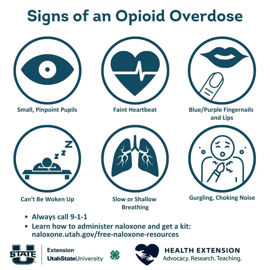 usuHEART's tweet photo. August 31st is International Overdose Awareness Day: Knowing how to spot an overdose could help save a life. Remember to always call 9-1-1. To learn how to administer naloxone and get a kit visit https://t.co/XhGqjg5lg9
Learn more about events near you: https://t.co/DWBJZwTOBM. https://t.co/8JDrKeLWvC