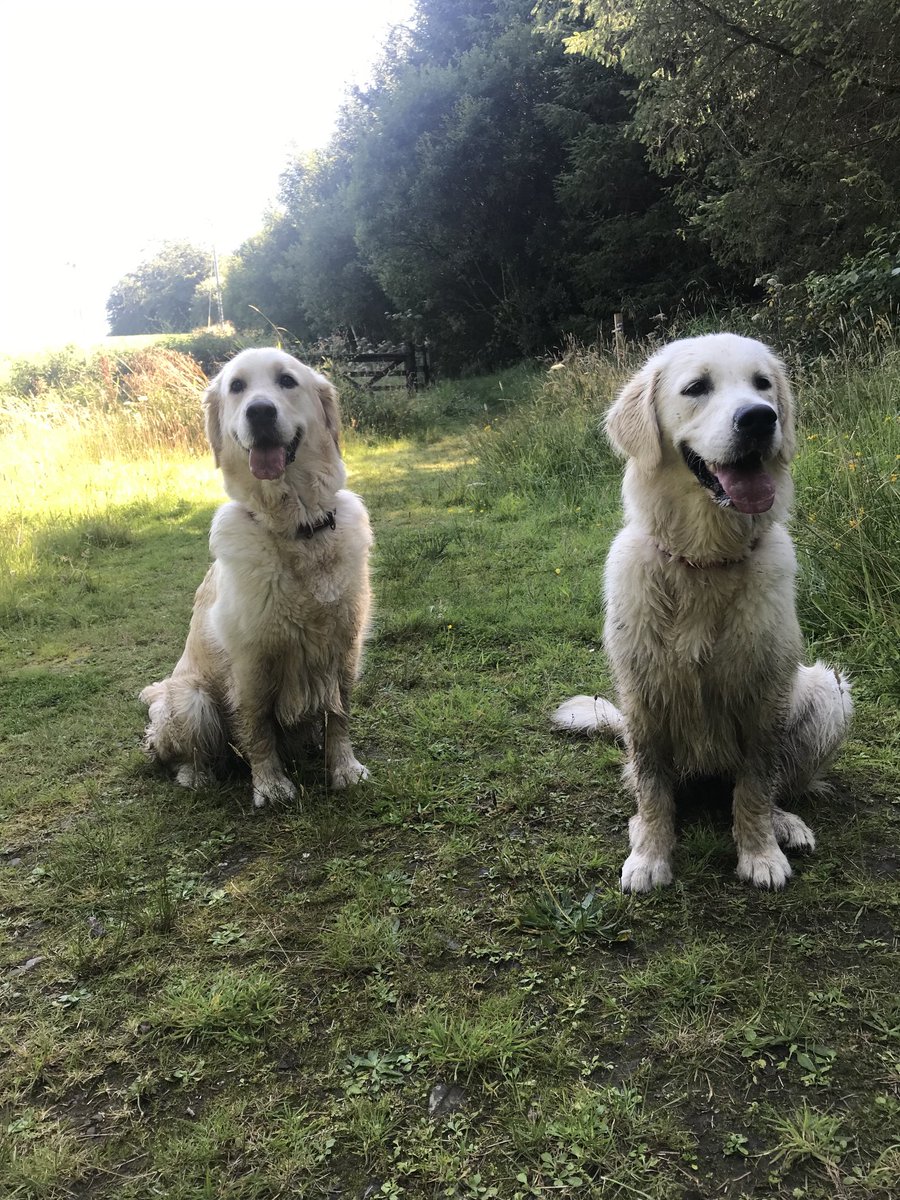 A rather mucky
#TongueOutTuesday