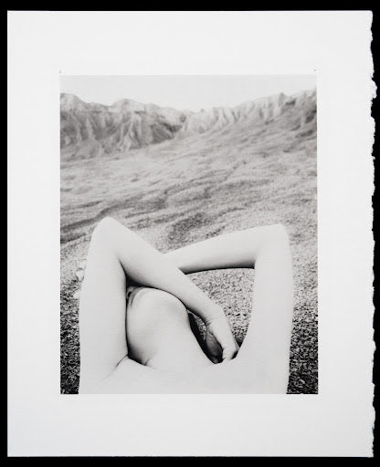 JacqScripps's tweet image. #NewNFTProfilePic NFT by ModernVintagePhotos @bigpigbig #fineartphotography