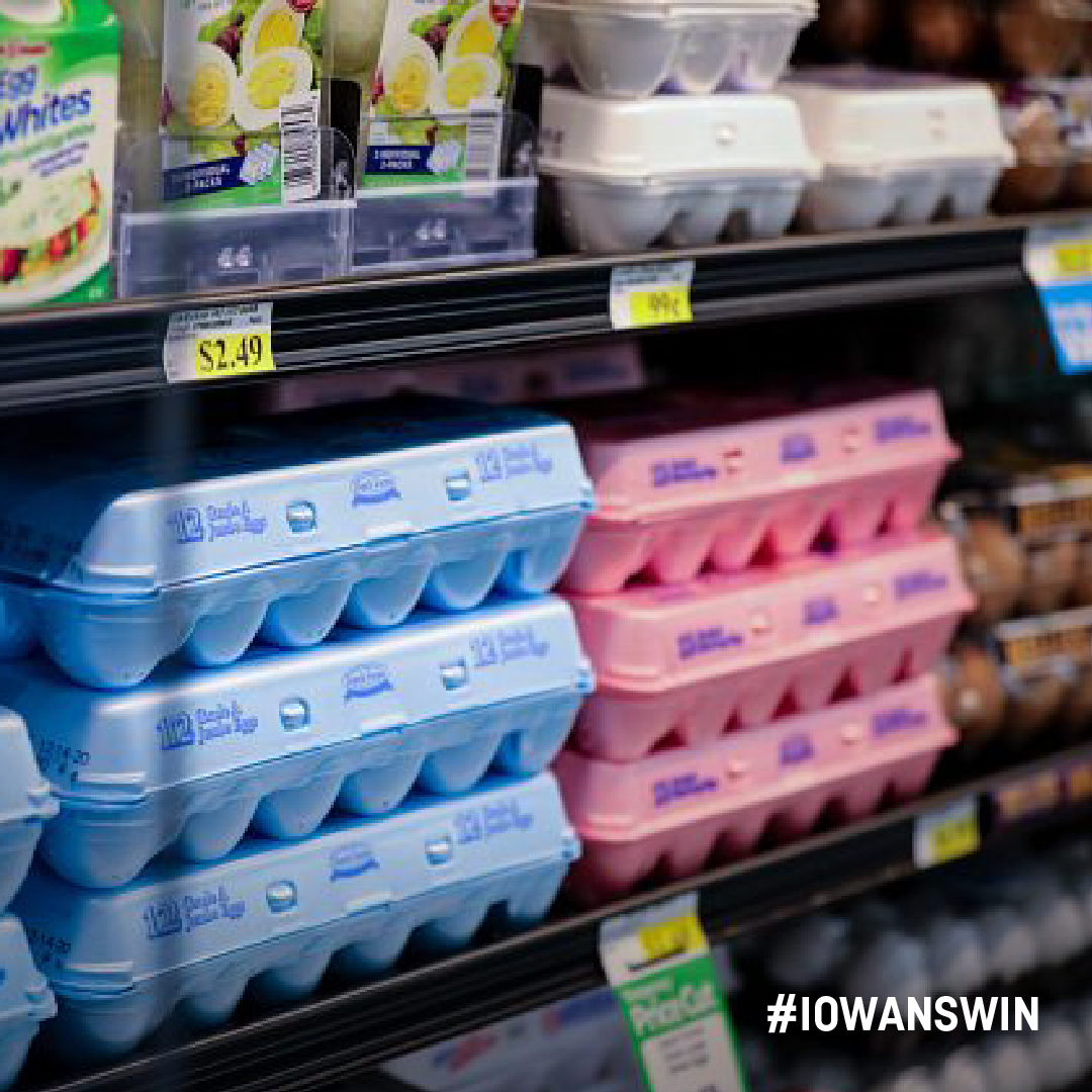 iowa_corn's tweet photo. Protein-packed pork, corn-fed beef, nutritious dairy, eggs every day - they all start with corn. https://t.co/s5JQssiz5s

#iowanswin #corngrowsiowa #corn #fieldcorn https://t.co/WDnE2cH67X