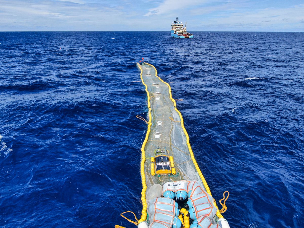 Jeffrey S Rafuse🌳 on Twitter: