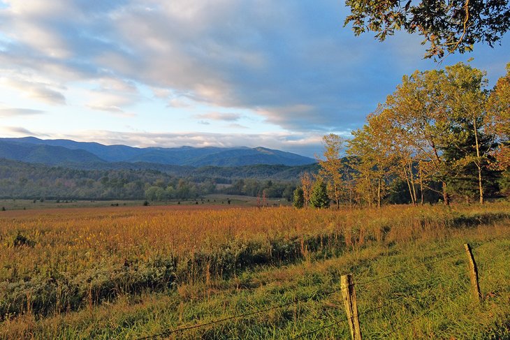 tombeechrealtor's tweet photo. If you're looking for a scenic drive to take near Gatlinburg, #Tennessee, consider Cades Cove Loop Road. #travel  https://t.co/hM334pyuhS https://t.co/bR91N2s202