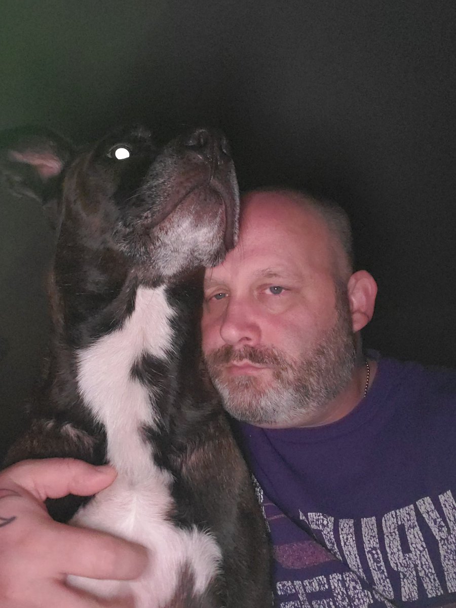 notgonnaedit's tweet photo. Love my demon #doggo https://t.co/Xd6zocv3a7