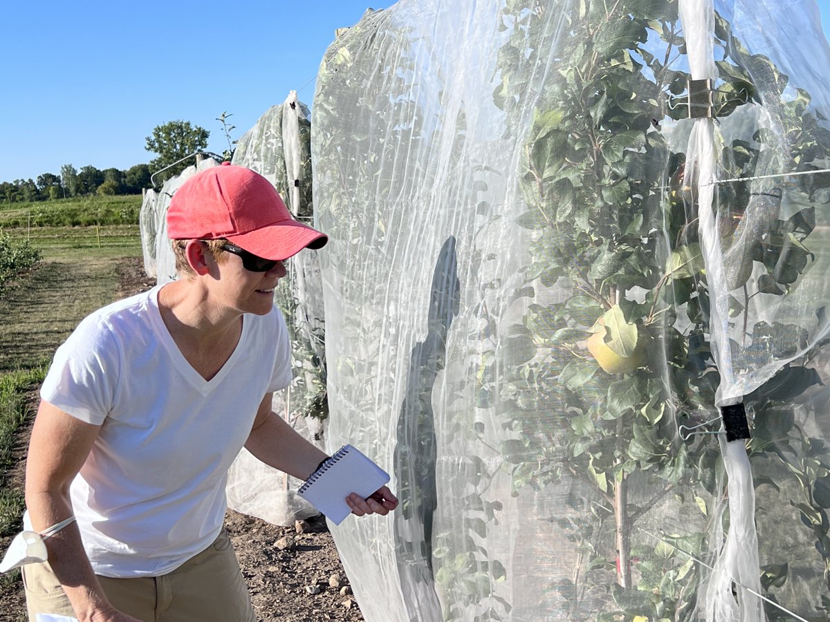 FruitDiseases's tweet photo. It was great to have @ProfRCassidy visit us &amp; discuss some of our ongoing research on genetics of disease resistance &amp; pre breeding of #Apples https://t.co/s6Rnzj43FN