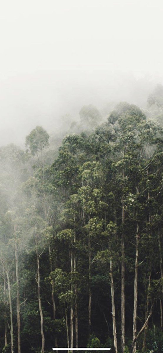<a href="/StormHour/">#StormHour</a> <a href="/RMetS/">Royal Meteorological Society</a> <a href="/RainViewer/">Rain Viewer</a> Fog in Kodaikanal .
