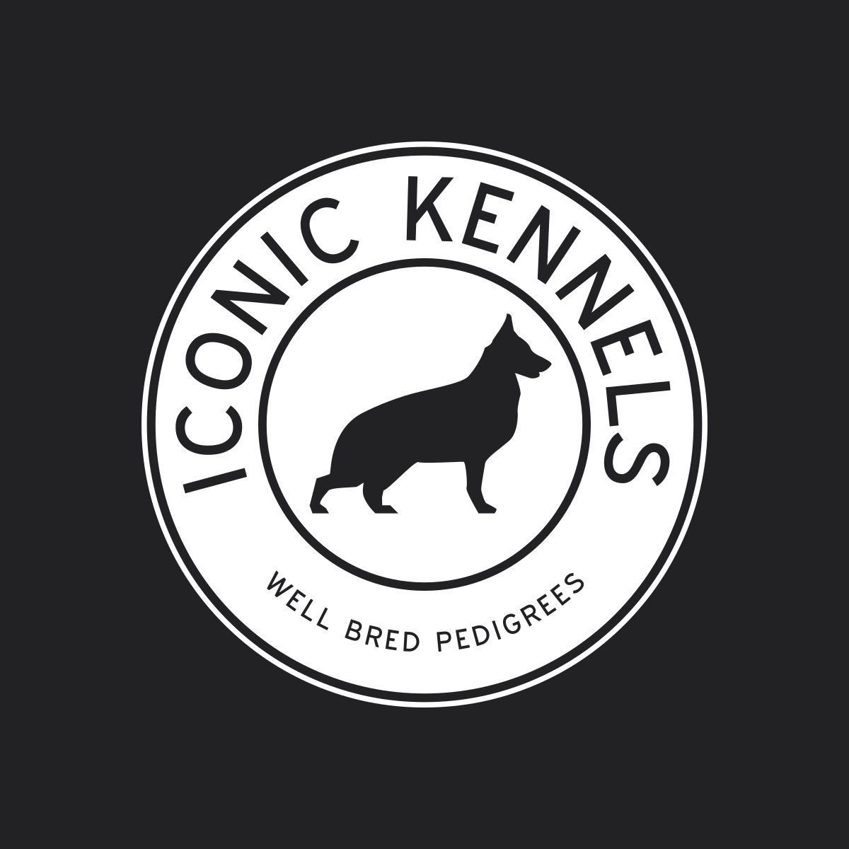 IconicKennels's tweet photo. New litter  incoming In 8 days. Visit for your well bred pedigree German Shepherd Dogs #orengo #NationalShutdown #ericomondi https://t.co/WzijFTzzkS