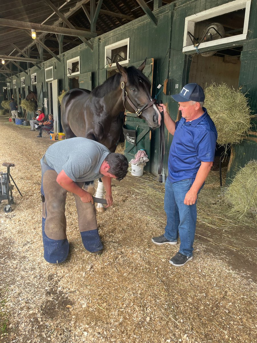 Aint Life Grand getting his new shoes for the Travers <a href="/Kvonhemel/">Kelly Von Hemel</a> <a href="/racing_dudes/">Racing Dudes</a> <a href="/prmracing/">Prairie Meadows</a> #Saratoga #NothThisTime