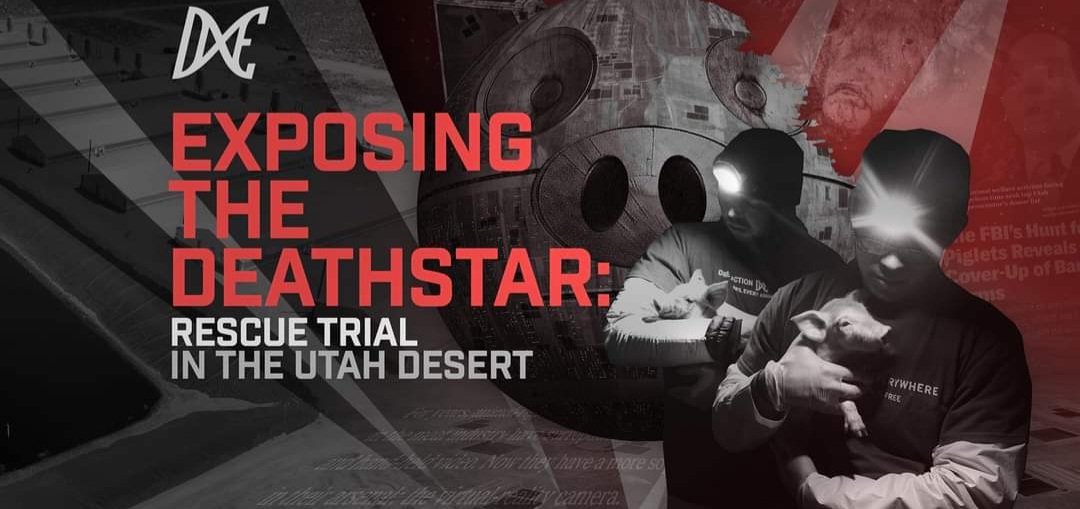 ALCrevolution's tweet photo. Join us for the Utah Convergence! The new trial dates are October 3rd to 11th. Let's support Wayne Hsiung, Paul Darwin Picklesimer, & the #RightToRescue!
Event page:
https://t.co/s5rjyqEKhq
Register or re-register:
https://t.co/Yy8PojZtj0
#SmithfieldTrial #SmithfieldsDeathstar https://t.co/M4Pnjt8vGF