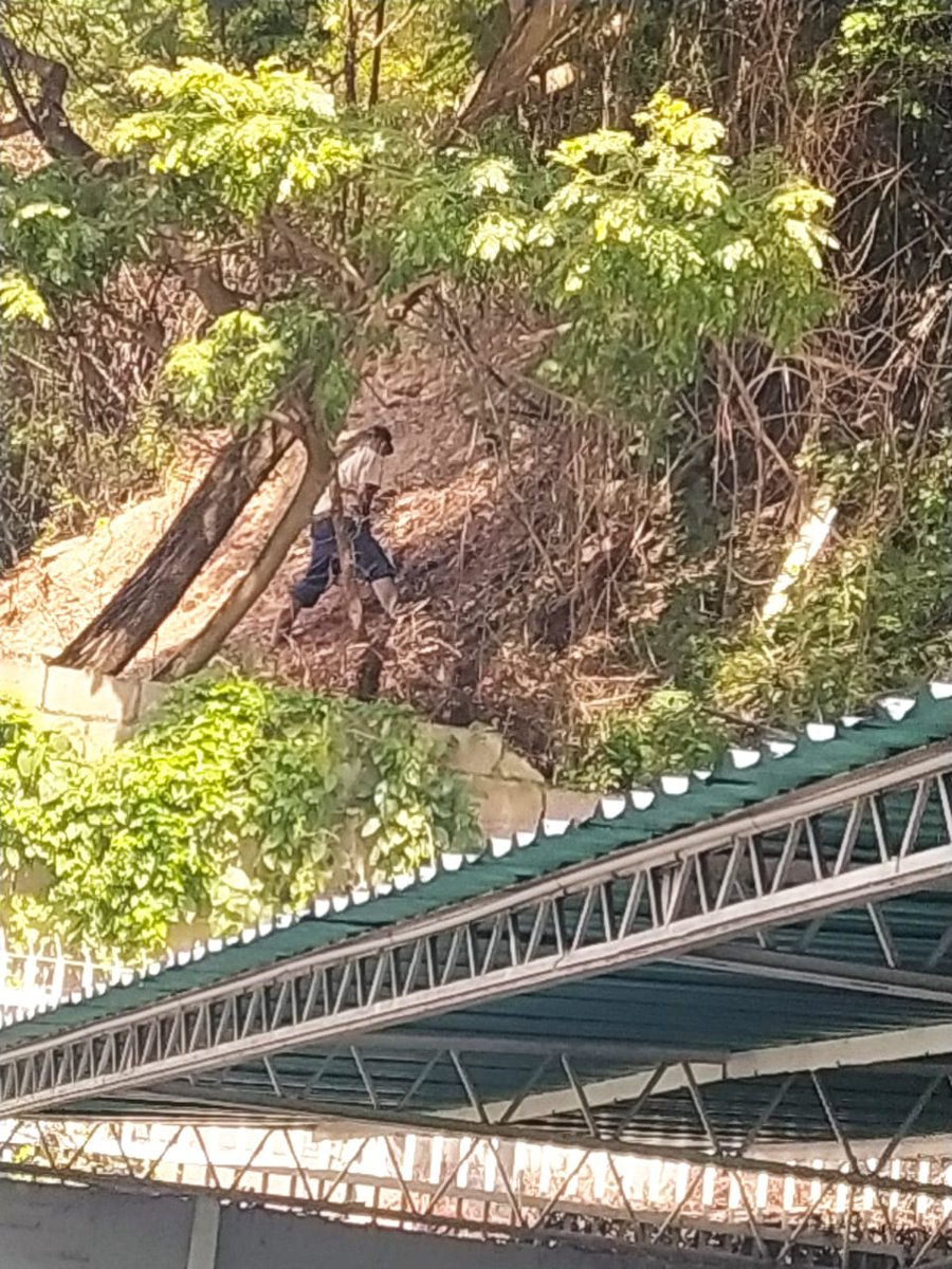 ColdeBelloMonte's tweet photo. #DenunciaCiudadana Nuevamente el terreno municipal que se adueñó la Qta Mamporal Donde funciona un restaurant italiano, en la avenida #Neverí. Al cual ya se había denunciado ante Ingeniería Municipal el pasado mes de #Junio
@PoliBaruta
@AlcaldiaBaruta
@darwingonzalezp https://t.co/G14u6eGsCf