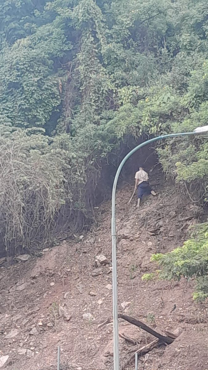 berthagomez's tweet photo. Darwin. Aló! Estás allí? @darwingonzalezp @AlcaldiaBaruta @lavozcolinera Hasta cuando permites desmanes en Colinas de Bello Monte? Están desmalezando detrás del restaurante italiano en la Avenida Neverí. Es terreno municipal. Actúa!!! Y es para Ya!! https://t.co/HSdG7aGJiI