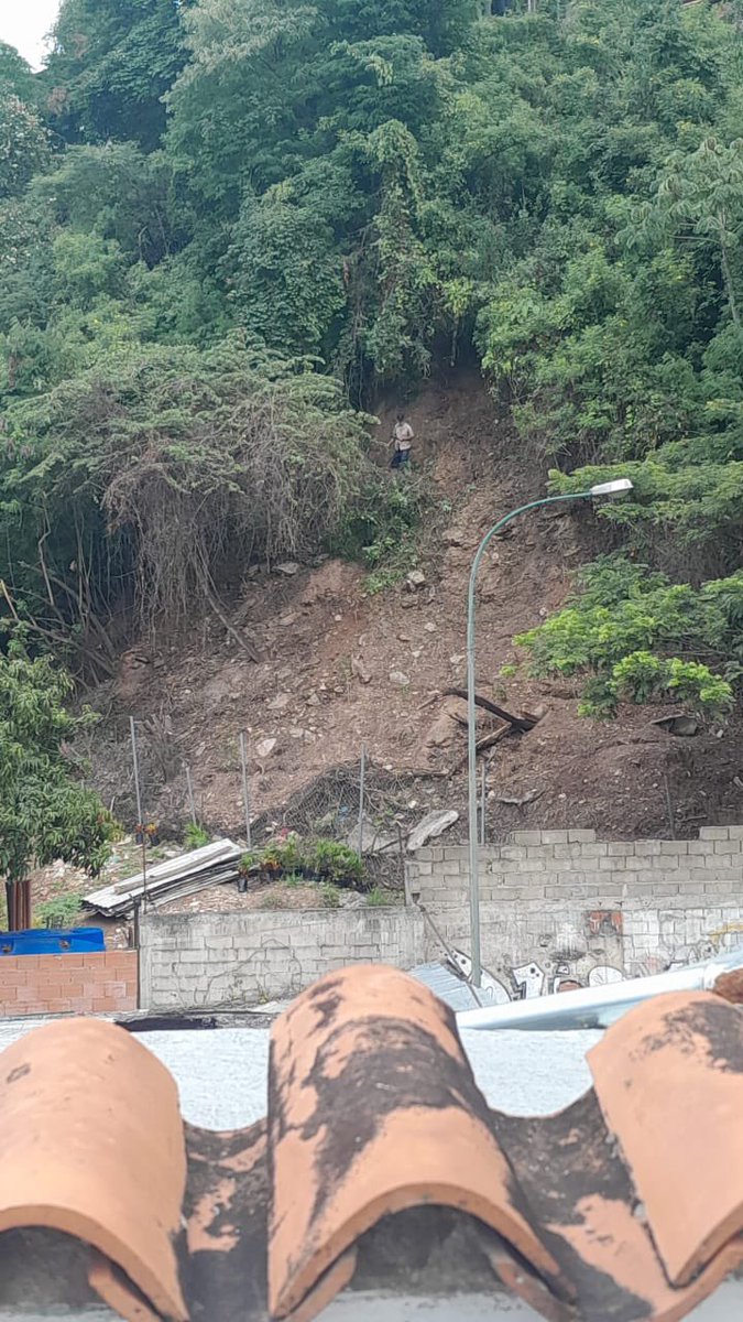 berthagomez's tweet photo. Darwin. Aló! Estás allí? @darwingonzalezp @AlcaldiaBaruta @lavozcolinera Hasta cuando permites desmanes en Colinas de Bello Monte? Están desmalezando detrás del restaurante italiano en la Avenida Neverí. Es terreno municipal. Actúa!!! Y es para Ya!! https://t.co/HSdG7aGJiI