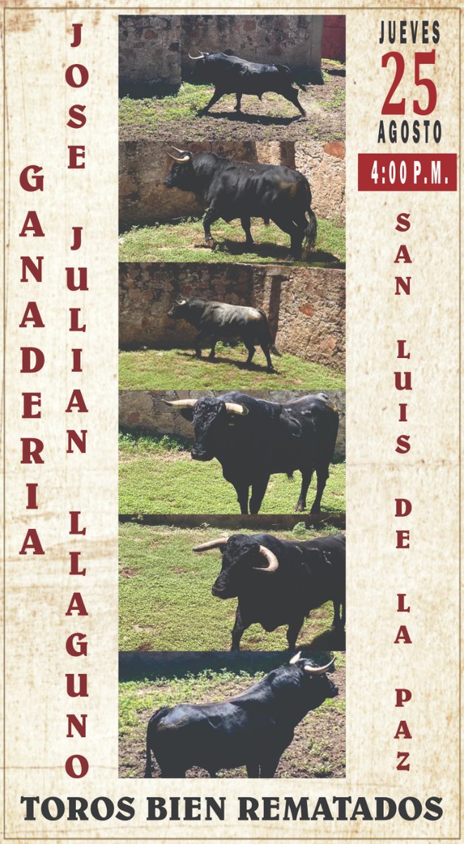 🇲🇽 | Los toros de José Julián Llaguno para la Tradicional Corrida de Feria en San Luis de la Paz,  Guanajuato donde se presentan <a href="/EJCalita/">EJ Calita</a>, Francisco Martínez y <a href="/pedrollaguno/">Juan Pedro Llaguno</a>