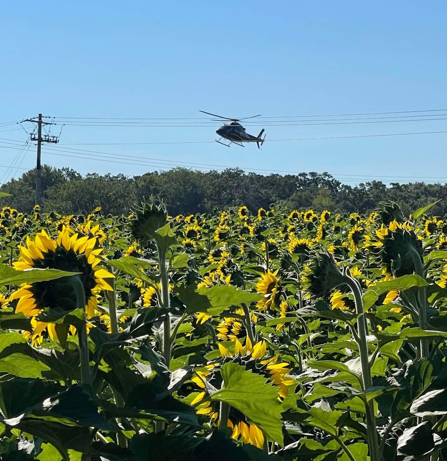 MN CRIME Police/Fire/EMS on Twitter "ISANTI Seriousinjury crash
