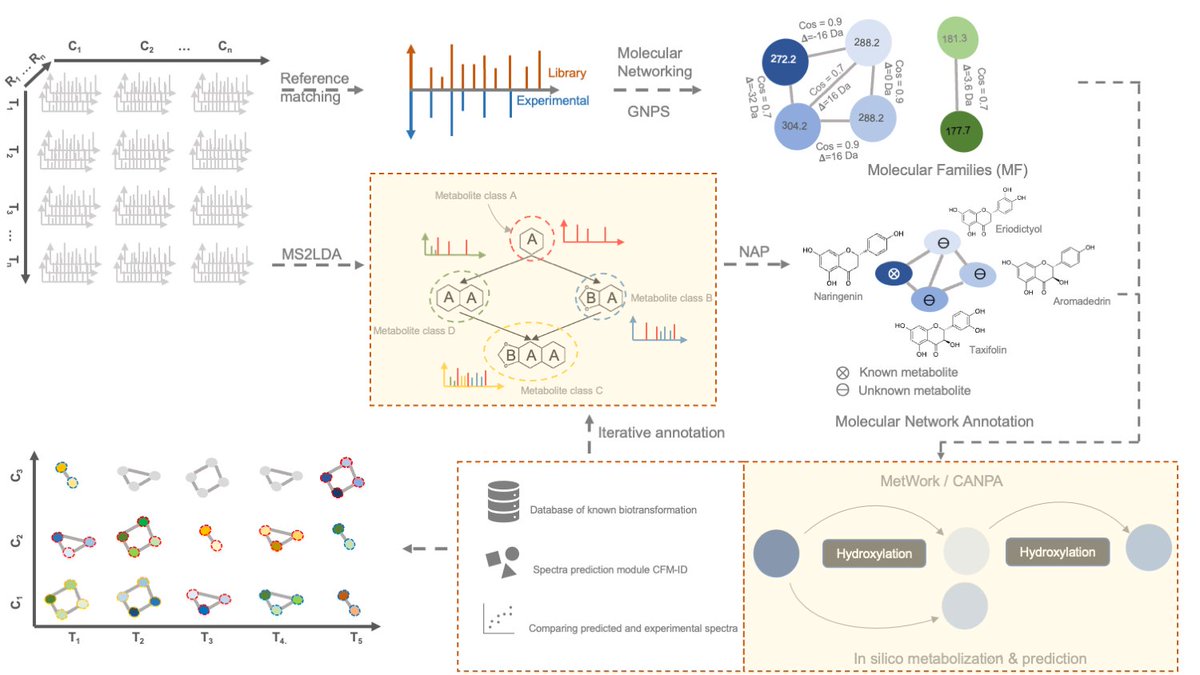 Kumar_S_Singh's tweet photo. Molecular networks can be generated using spectral data from MS2 samples using #GNPS. The distribution of differentially abundant metabolites across timepoints and across conditions is checked to better predict biosynthetic pathways @ms2lda #MetWork https://t.co/tE7uCrJw3g