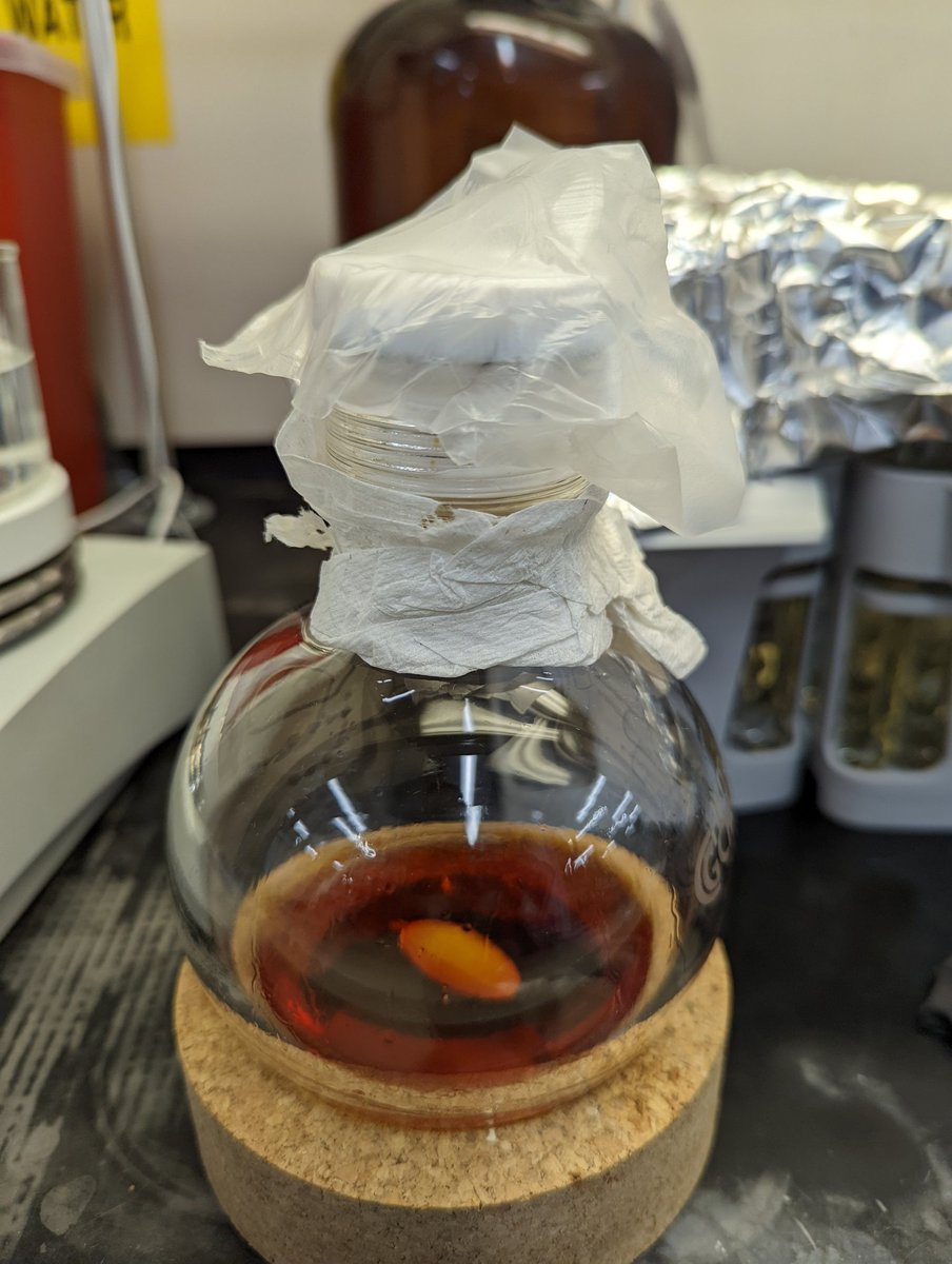 ChemChelsea's tweet photo. @ParafilmM saving the day as a make-shift grip to open my pressure vessel!! Try it out if you have something that seems to tight to open! #parafilm #chemproblems https://t.co/bynWu4ccyc