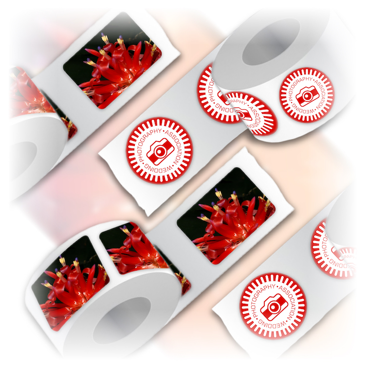 tampaprintshop's tweet photo. Roll Labels come in multiple different sizes for any type of application. They are custom printed on a semi-gloss, eggshell, White BOPP, Clear BOPP, or silver metallic permanent adhesive using full-color... https://t.co/jvUiQnvUf7