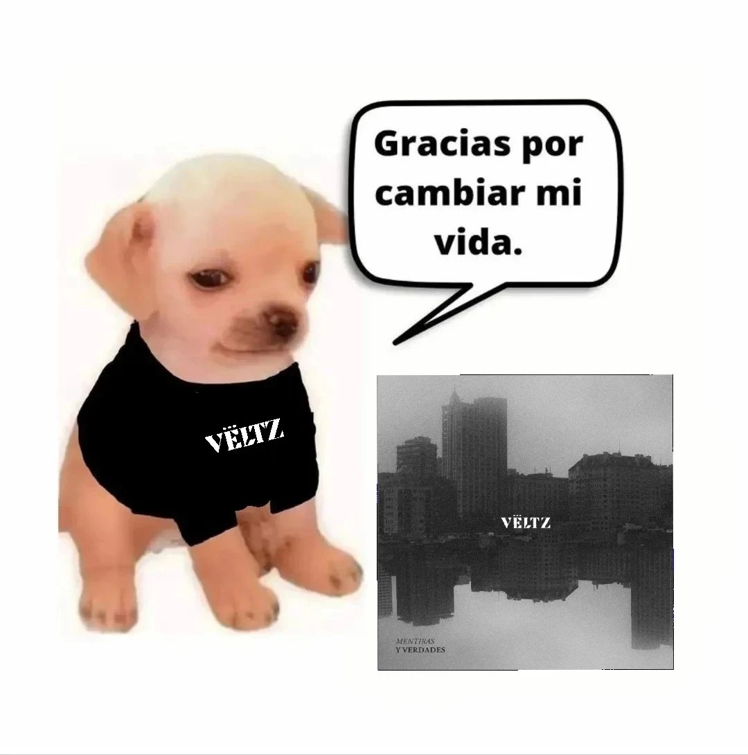 BandVeltz's tweet photo. Ya casi cumple un año el #mentirasyverdades 🥺🖤 https://t.co/iw2kFRRCdO