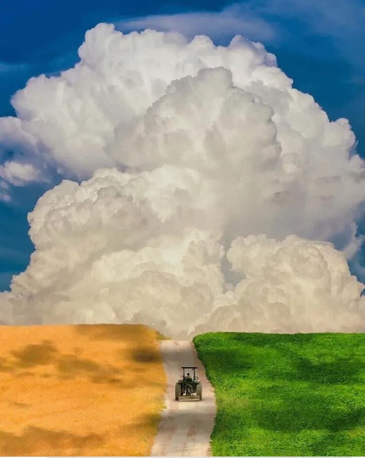 MMmarco0's tweet photo. Campi colorati con un maestoso cumulonembo sullo sfondo. Solo la natura può creare certi capolavori. https://t.co/TOk7ZQIJnA