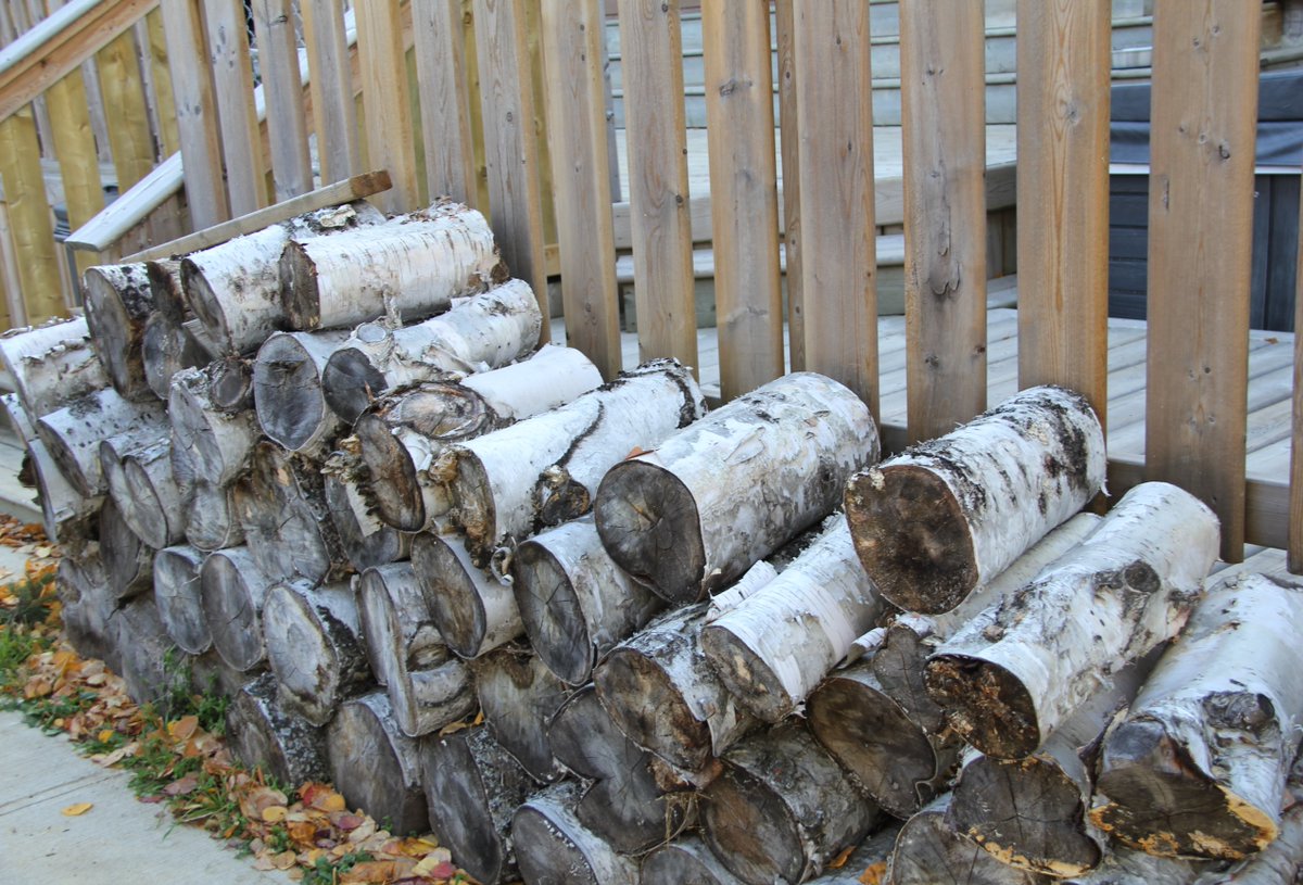 Alberta Wildfire tweet media