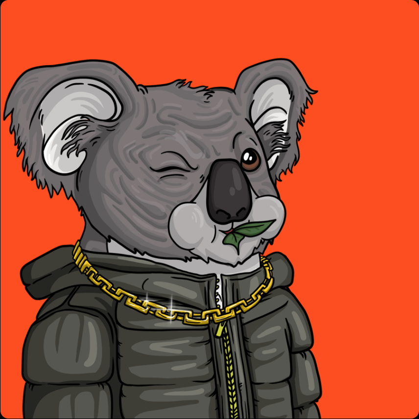 ot2lucas's tweet photo. W's #algo #algofam #wildlifewarrior #wildlifewarriorkoala https://t.co/FB9CAB3a71